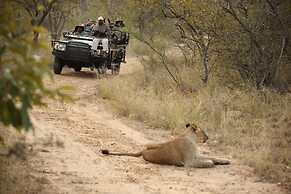 Karongwe- Shiduli Safari Lodge