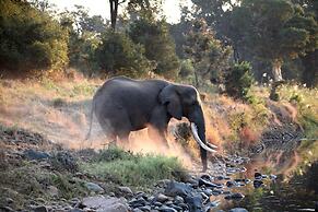 Karongwe- Shiduli Safari Lodge