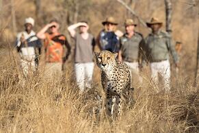 Karongwe- Shiduli Safari Lodge