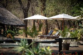 Karongwe- Shiduli Safari Lodge