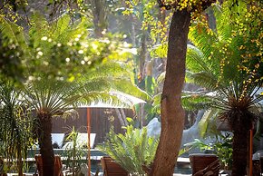 Karongwe- Shiduli Safari Lodge
