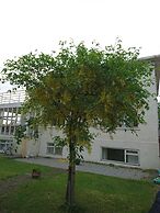 Alba Guesthouse