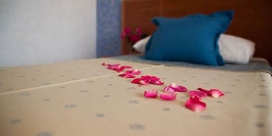 Hotel Zlatni Lav