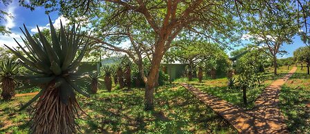 Three Tree Hill
