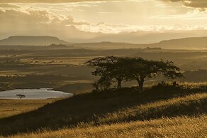 Three Tree Hill