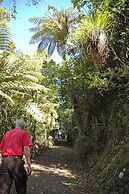 Waitakere Resort & Spa