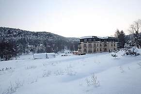 Hotel Ostrov