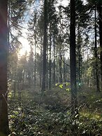 Heidegrund