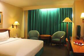 Grand Arkenso Parkview Hotel