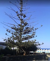 Cossyra Hotel