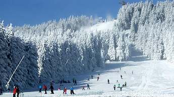 Hostel Braunlage