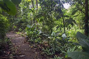 Selva Verde Lodge