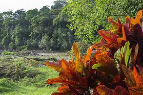 Selva Verde Lodge
