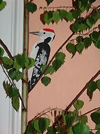 Artharmony Pension & Hostel