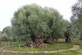 Niriides Hotel
