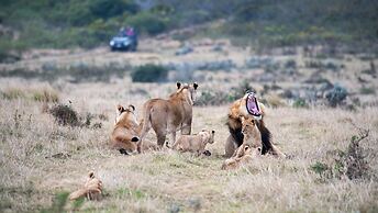 Gondwana Game Reserve