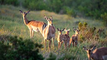 Gondwana Game Reserve