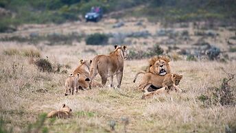 Gondwana Game Reserve