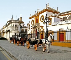 Hotel Lince
