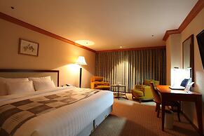 Hotel International