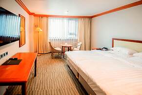 Hotel International