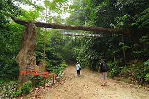 Borneo Tropical Rainforest Resort