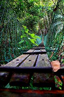 Borneo Tropical Rainforest Resort