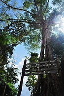 Borneo Tropical Rainforest Resort