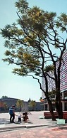 Qubus Hotel Bielsko-Biala