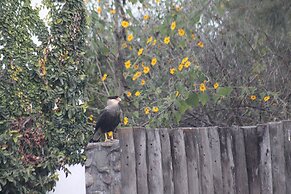 Finca Valentina