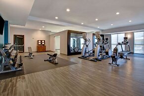 Hampton Inn & Suites Borger