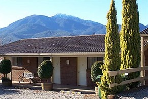 Bogong Moth Motel