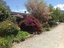 Bogong Moth Motel
