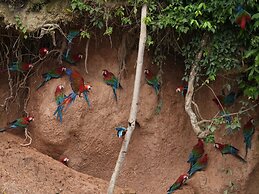 Posada Amazonas