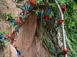 Posada Amazonas