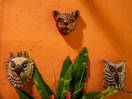 Posada Amazonas
