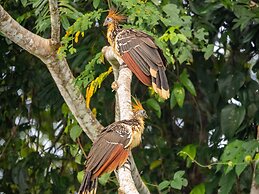 Posada Amazonas