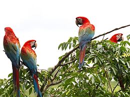 Posada Amazonas