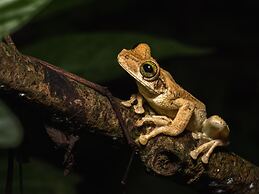 Tambopata Research Center