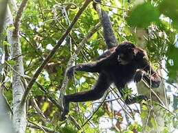 Tambopata Research Center
