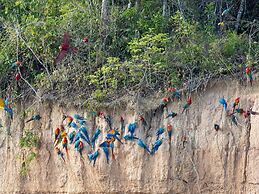 Tambopata Research Center