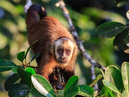 Tambopata Research Center