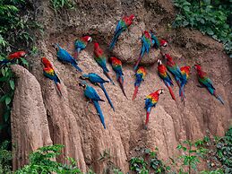 Refugio Amazonas