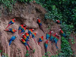 Refugio Amazonas