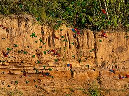 Refugio Amazonas