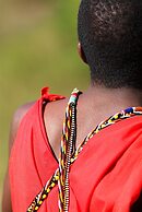 Mara Explorer