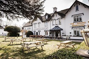 The Bear of Burton