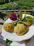 Sabah Tea Resort