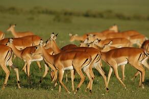 Mara Intrepids Tented Camp