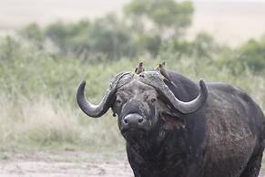 Mara Intrepids Tented Camp